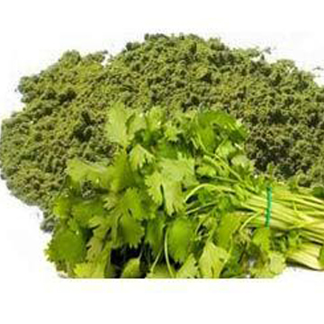 Spray Dried Coriander Powder