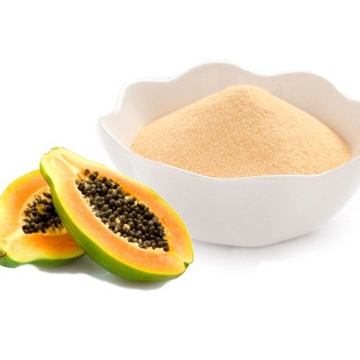 Spray Dried Papaya Powder