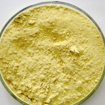 Aloe Vera Extract Powder