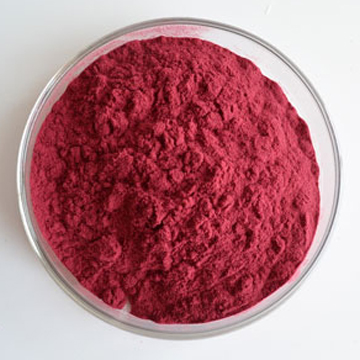 Prickly Pear Fruit Powder