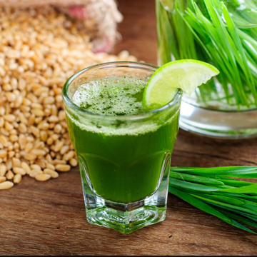 Wheat Grass Juice