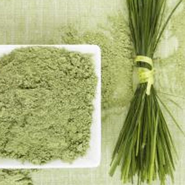 Wheat Grass Powder