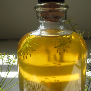 Dill Seeds Oil