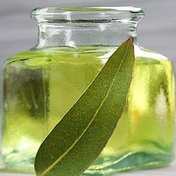 Eucalyptus Oil