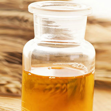 Wheat Germ Oil